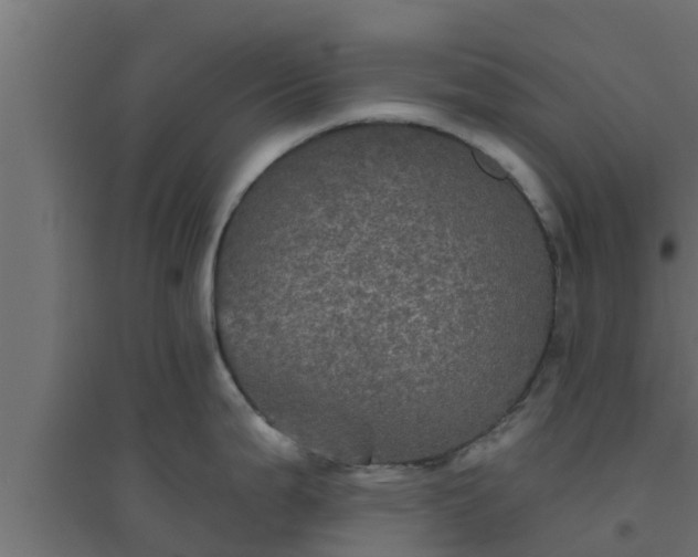 X0000094811199200711241439