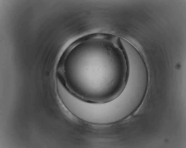 X0000094811200200711241439