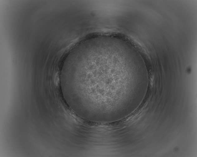 X0000094811204200711241438