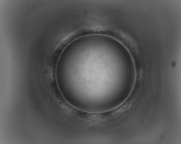 X0000094811205200711241438