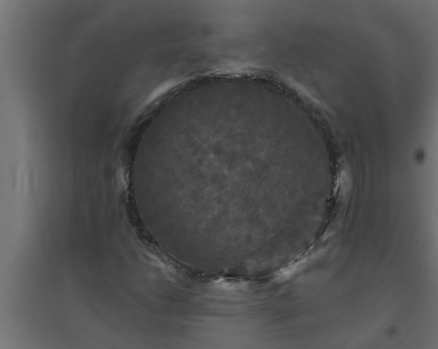 X0000094811206200711241438