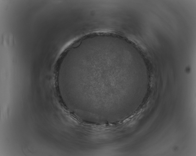 X0000094811208200711241438