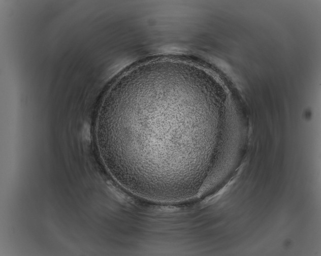 X0000094811209200711241438