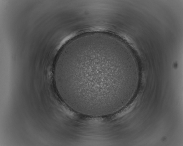 X0000094811210200711241438