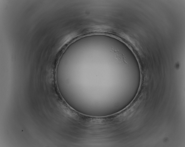 X0000094811211200711241438