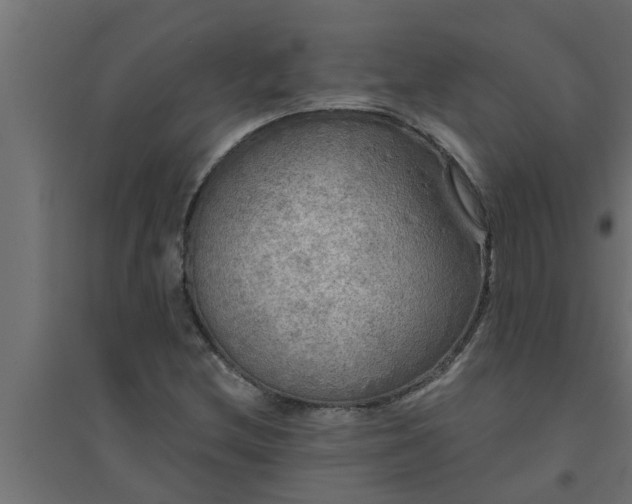 X0000094811212200711241438