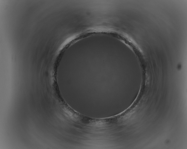 X0000094811213200711241438