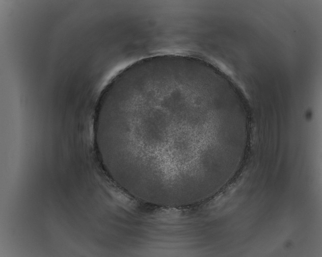 X0000094811214200711241438