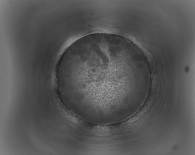 X0000094811215200711241438