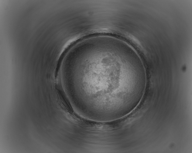 X0000094811218200711241438