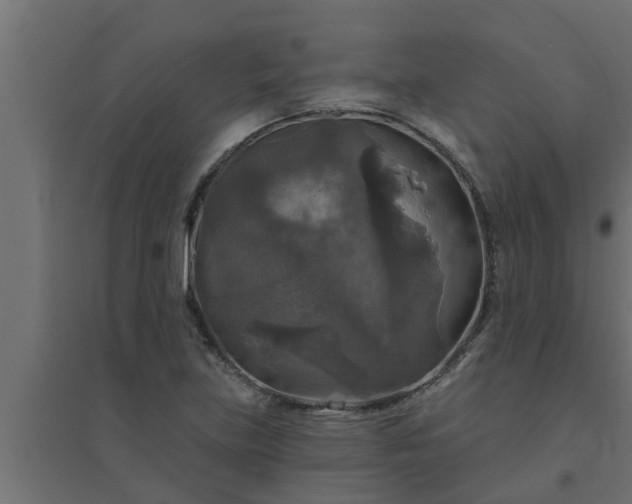 X0000094811219200711241438