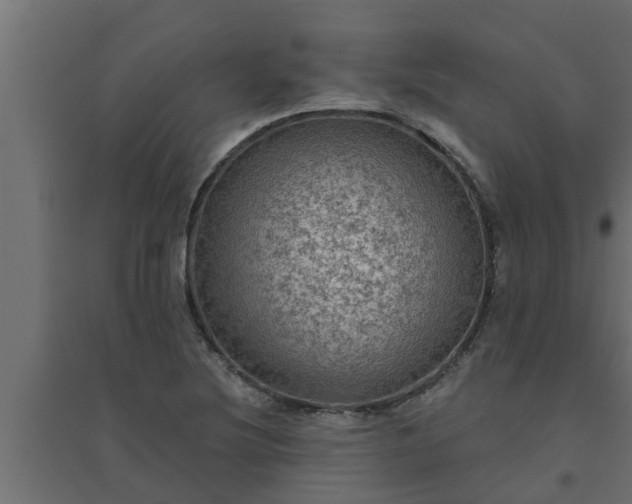 X0000094811220200711241438