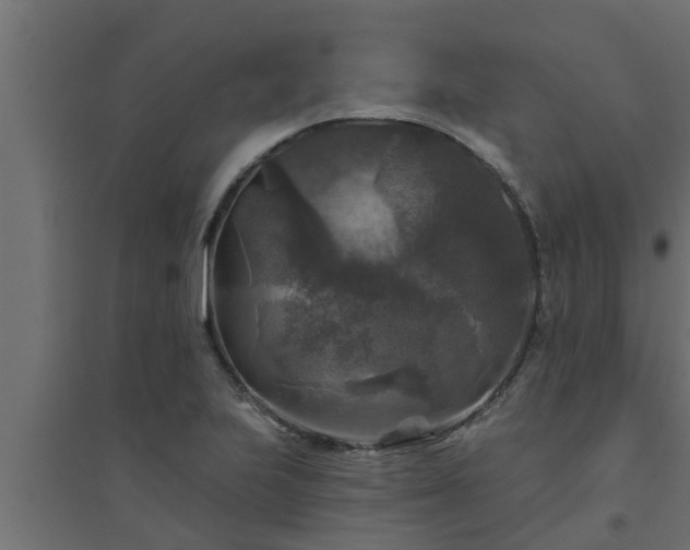 X0000094811223200711241438