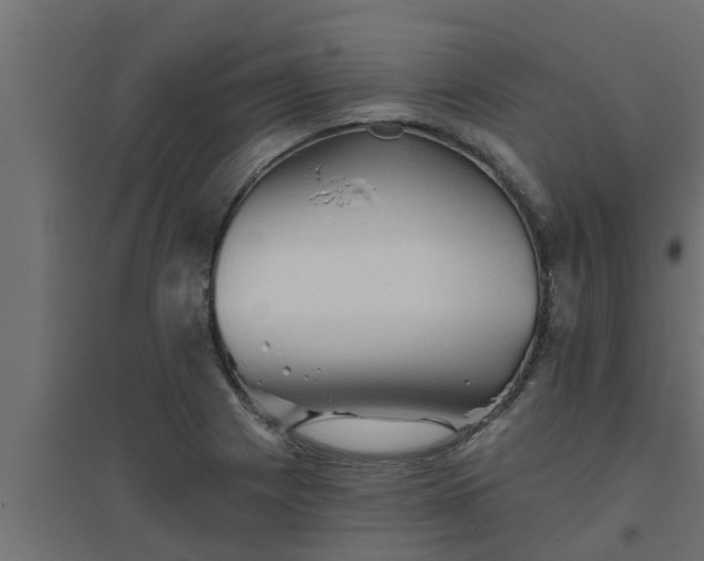 X0000094811225200711241438