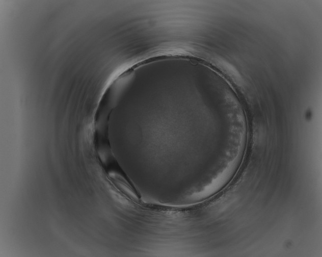 X0000094811226200711241438