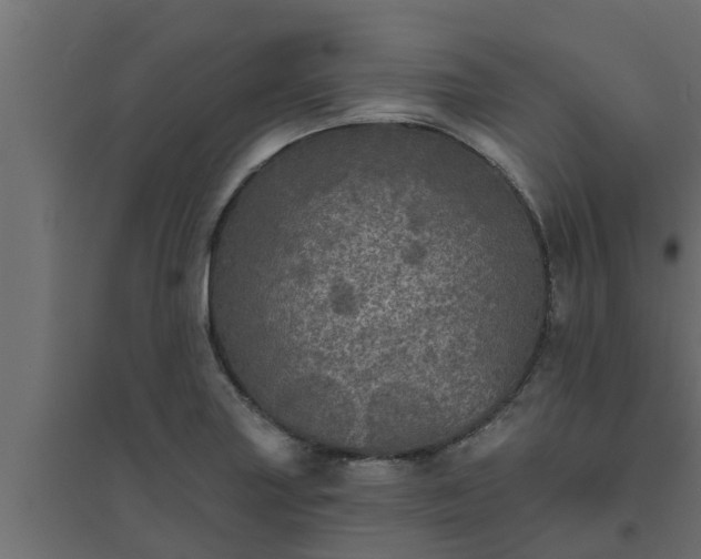 X0000094811227200711241438