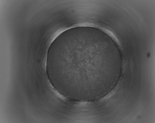 X0000094811228200711241438