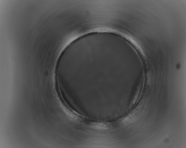 X0000094811229200711241438