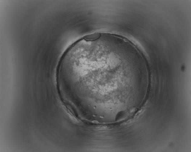 X0000094811230200711241438