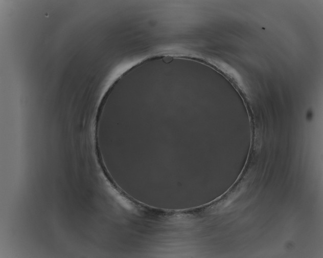 X0000094811231200711241438