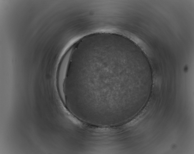 X0000094811232200711241438