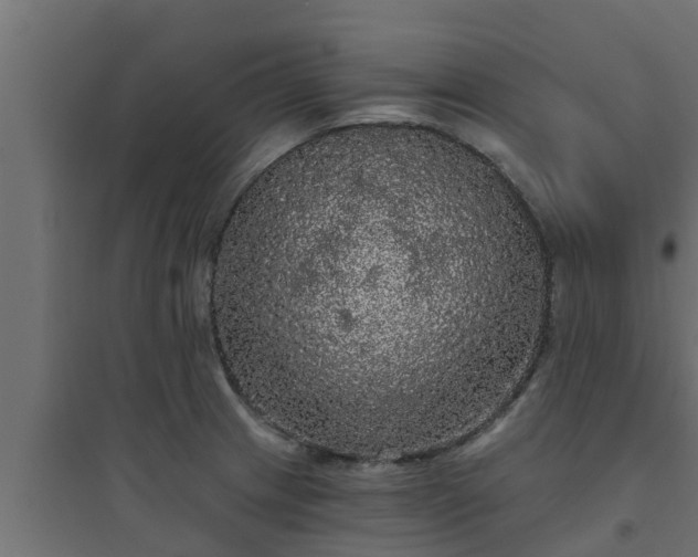 X0000094811233200711241438