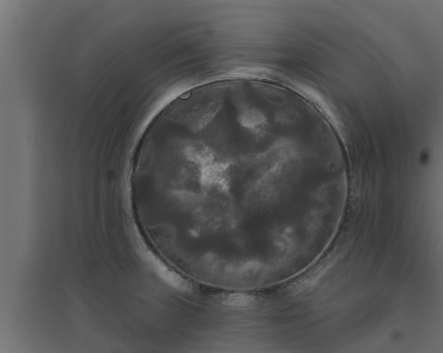 X0000094811235200711241438