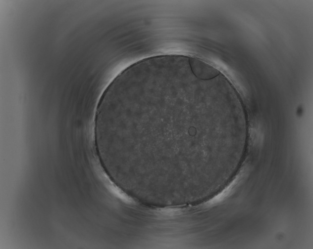 X0000094811236200711241438