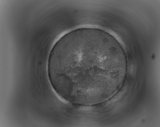 X0000094811237200711241438