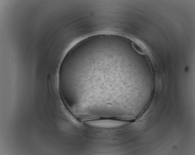 X0000094811238200711241438