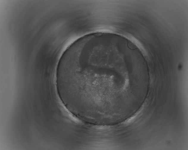 X0000094811240200711241438