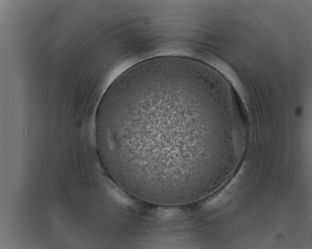 X0000094811242200711241439