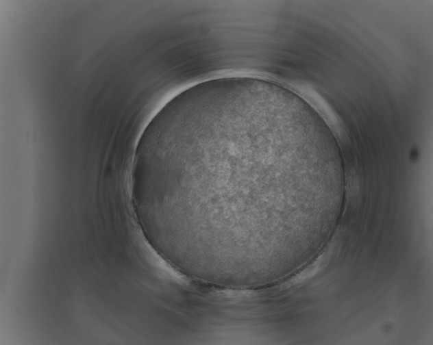 X0000094811244200711241439