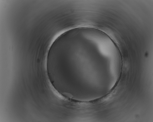 X0000094811246200711241439