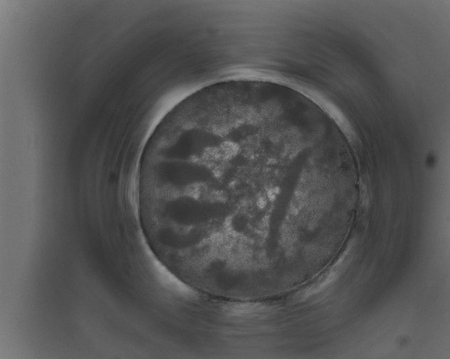 X0000094811247200711241439