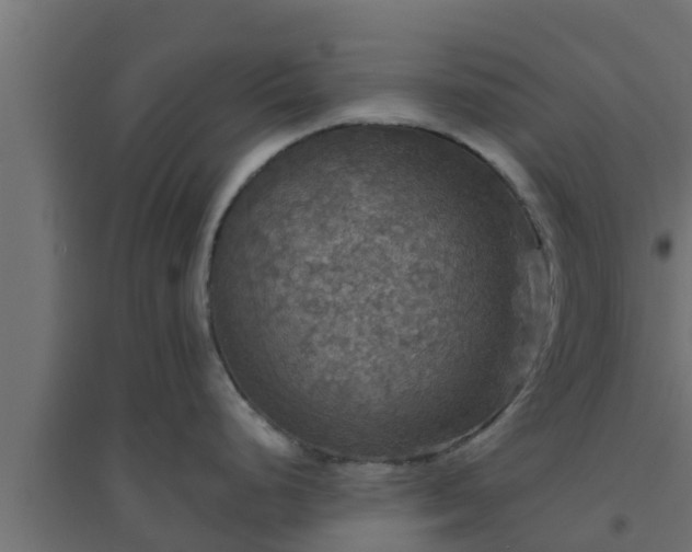 X0000094811248200711241439