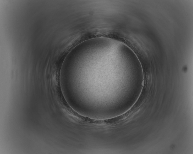 X0000094811250200711241438