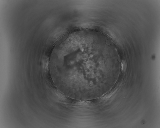 X0000094811251200711241438