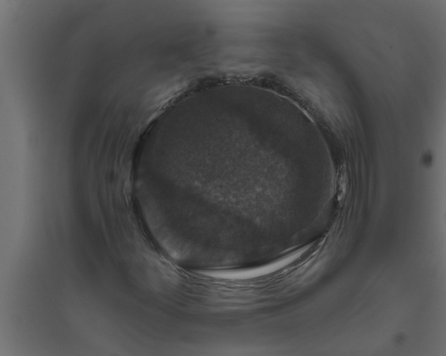 X0000094811252200711241438