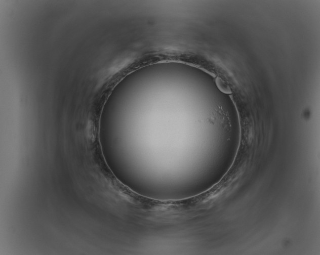 X0000094811253200711241438