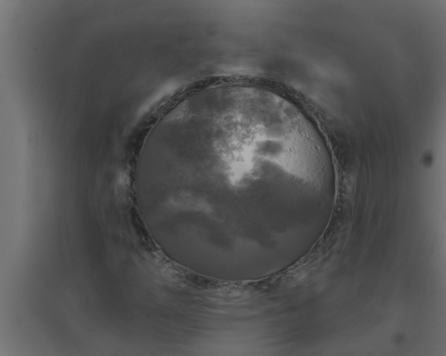 X0000094811254200711241438