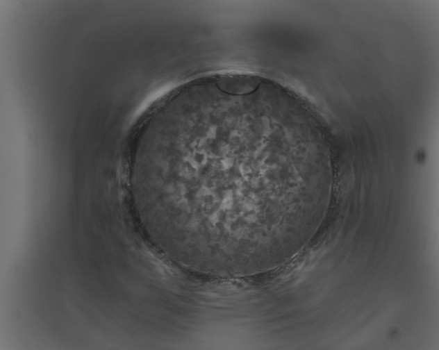 X0000094811255200711241438