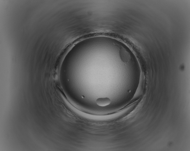 X0000094811257200711241438