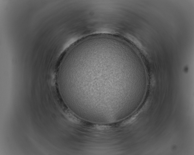 X0000094811258200711241438