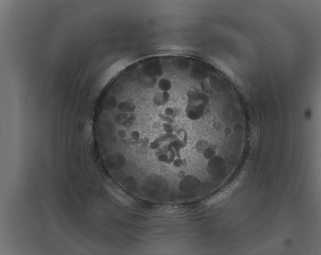 X0000094811259200711241438