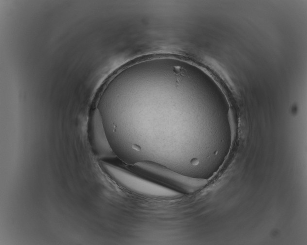 X0000094811260200711241438