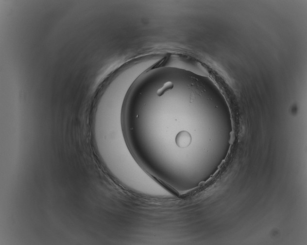 X0000094811261200711241438