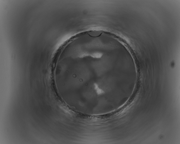 X0000094811263200711241438