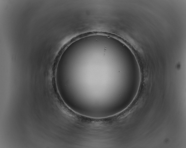 X0000094811264200711241438