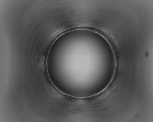 X0000094811265200711241438